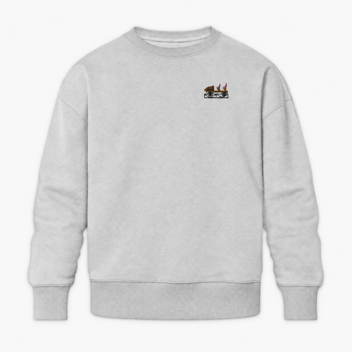 Multi Launch Coaster Brühl Frontcar Stick Sweatshirt – Grau meliert