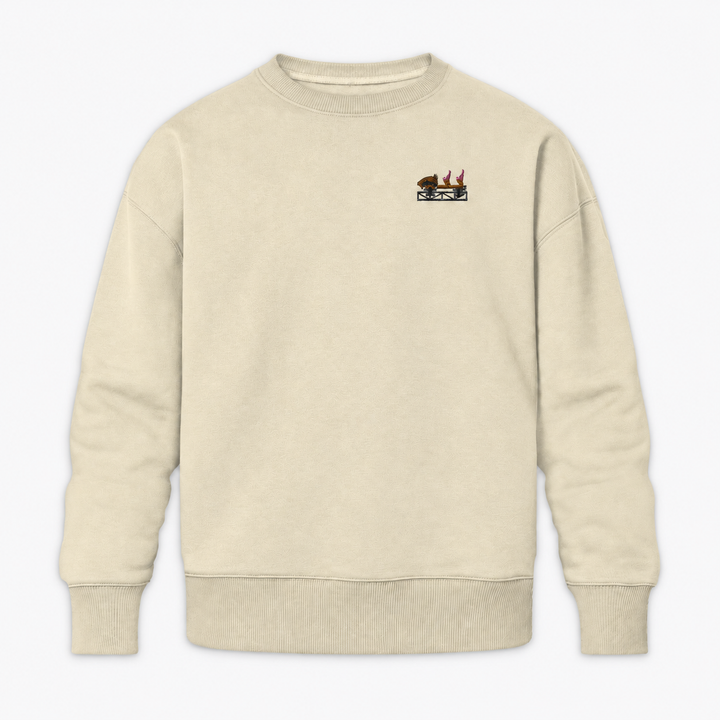 Multi Launch Coaster Brühl Frontcar Stick Sweatshirt – Natural Raw