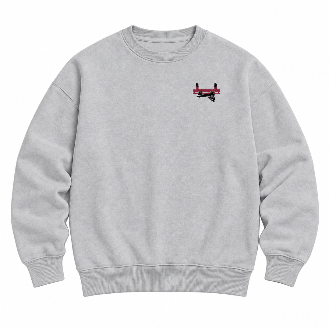 Flying Coaster Brühl Frontcar Stick Sweatshirt – Grau meliert