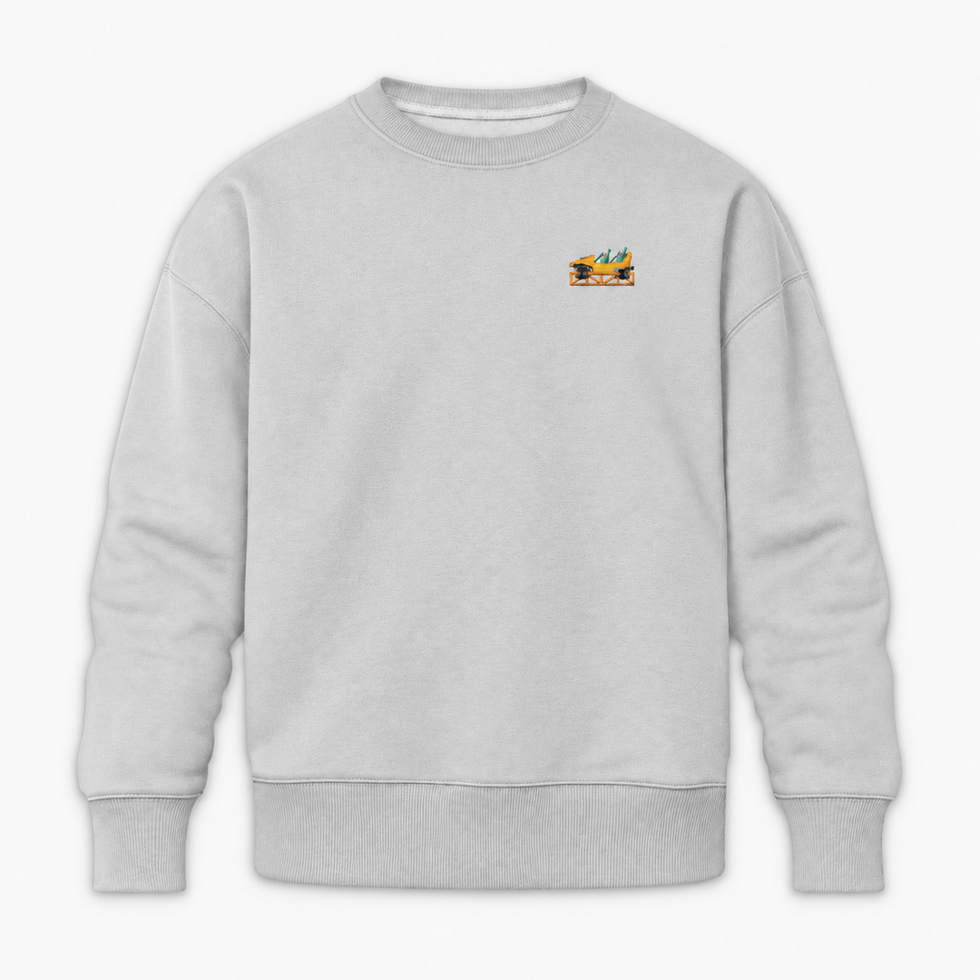 Mega Coaster Haßloch Frontcar Stick Sweatshirt – Grau meliert
